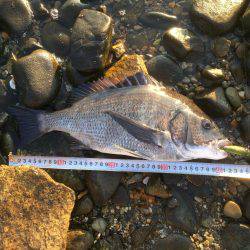 出勤前チニング