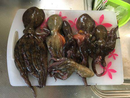 朝練オクトパッシング♫