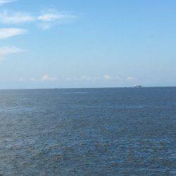 朝練オクトパッシング♫