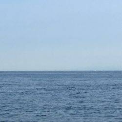 朝練オクトパッシング