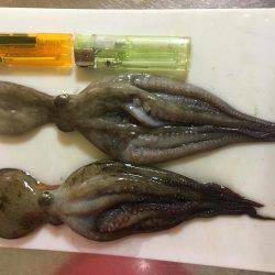 オクトパッシング