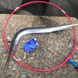 ダーツ？ダツ！