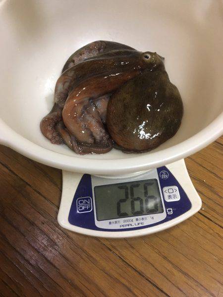 オクトパッシング