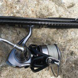 でも1魚種追加!