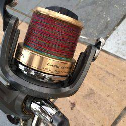 キス時々カワハギ