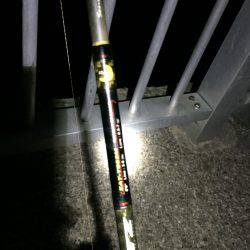 ケンサキリベンジ