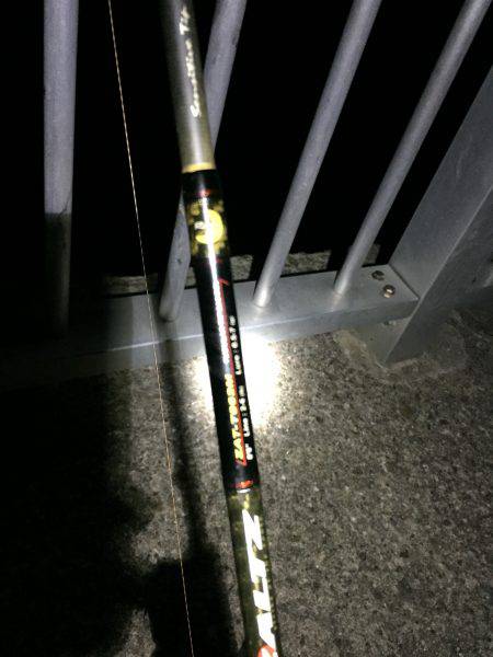 ケンサキリベンジ