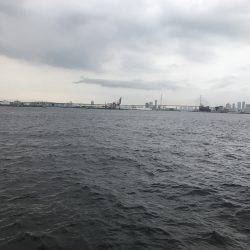 サバ時々豆アジ