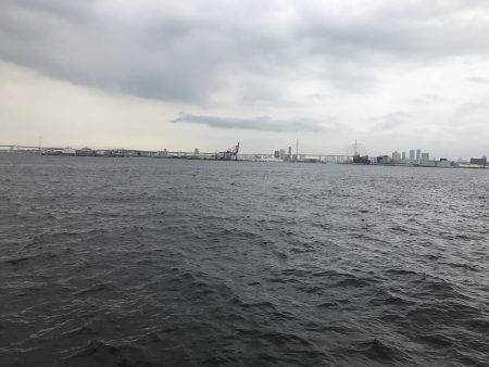 サバ時々豆アジ