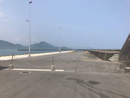 連日、目井津港で豆アジ