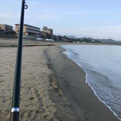 去年の爆釣を夢見て