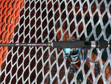 春イカは最後⁉️