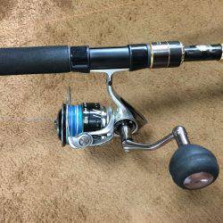 夏❗️エギング＆ライトショアジギング