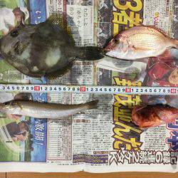 ゴムボート釣り