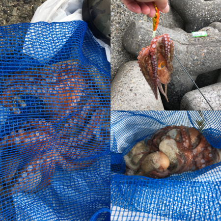 マイポイントでオクトパッシング