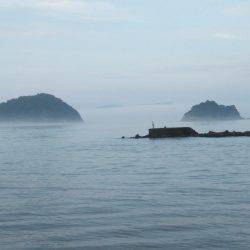 テンヤでタチウオ