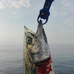 ショアジギング