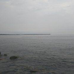 阿南市の辰巳でタチウオテンヤ