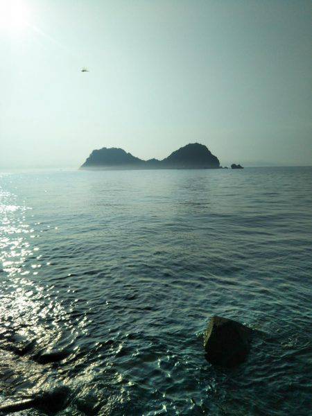 阿南市の辰巳でタチウオとツバス