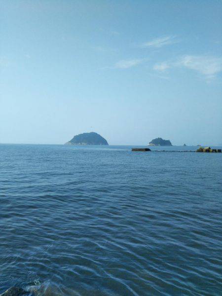 阿南市の辰巳でタチウオとツバス