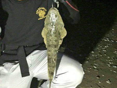 初　千代崎ビーチ　ジギング