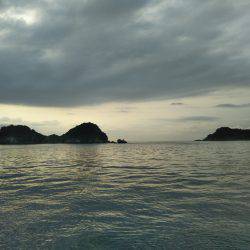 阿南市の辰巳でツバスとシオ