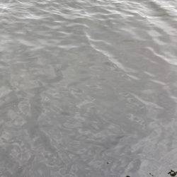 中サバのアタリは楽しい