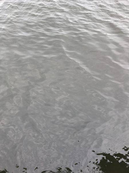 中サバのアタリは楽しい