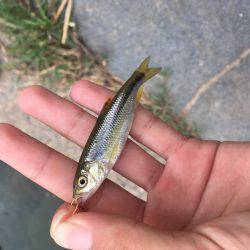 ちょっと暇つぶし