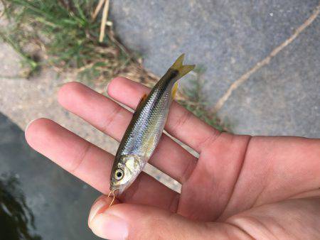 ちょっと暇つぶし