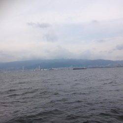 再・安定のタコ釣り15