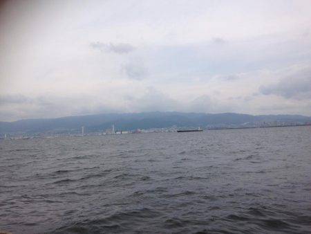 再・安定のタコ釣り15