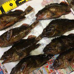 ライトワインド in 神戸沖堤防