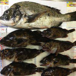 ライトワインドで三目釣り