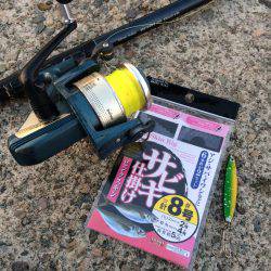 アジ釣り⑫  まさかの二度寝