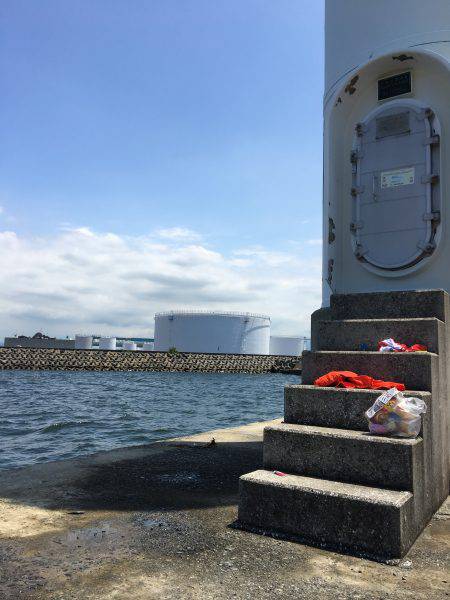 タコを求めて。