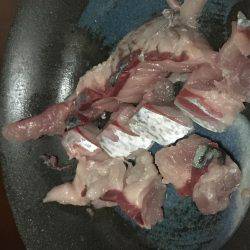 炬口漁港で42センチ大サバ