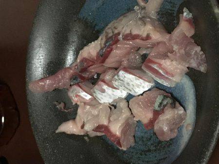 炬口漁港で42センチ大サバ