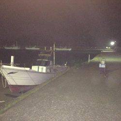 夜釣りのアジング