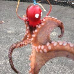 タコエギ初挑戦