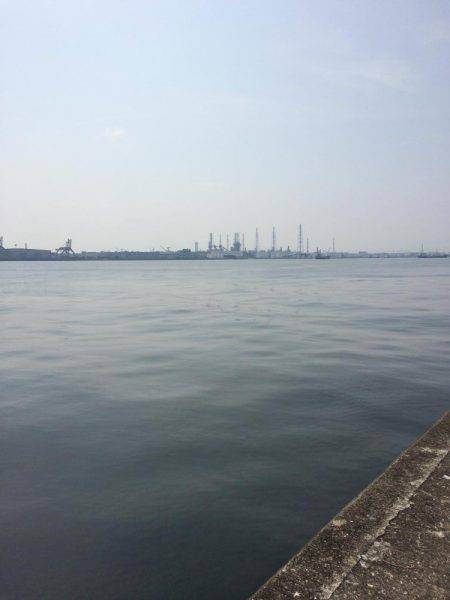 のんびりとタコ