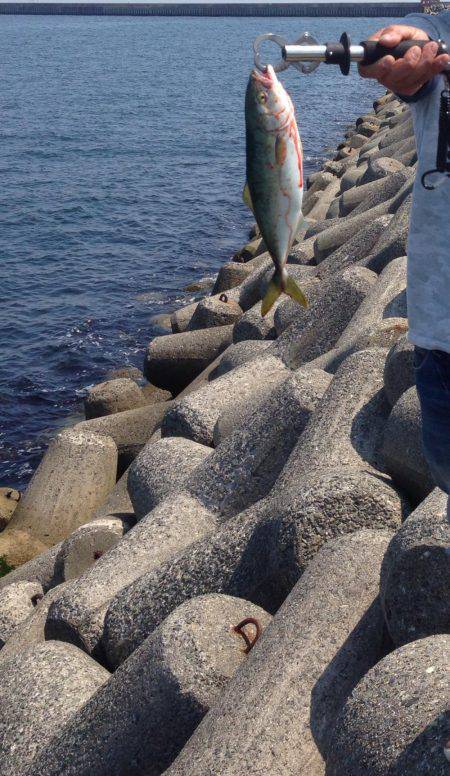 お昼からのツバス祭り