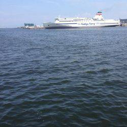 LSJ &オクトパッシング