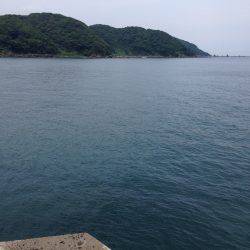 狙った魚が釣れたら嬉しい^ – ^