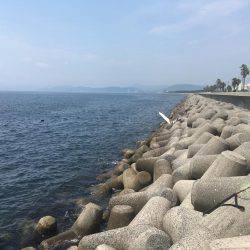 アナゴ&ガシラからのサバ