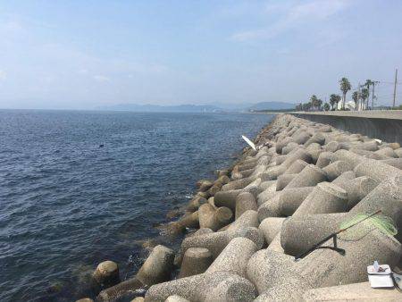 アナゴ&ガシラからのサバ