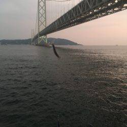 1年ぶりのお楽しみ