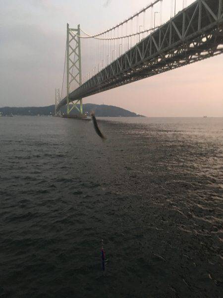 1年ぶりのお楽しみ