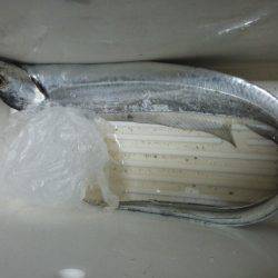 今年初の太刀魚です・・・