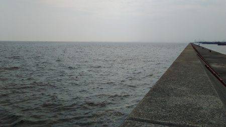 真夏の決闘～カサゴ編～